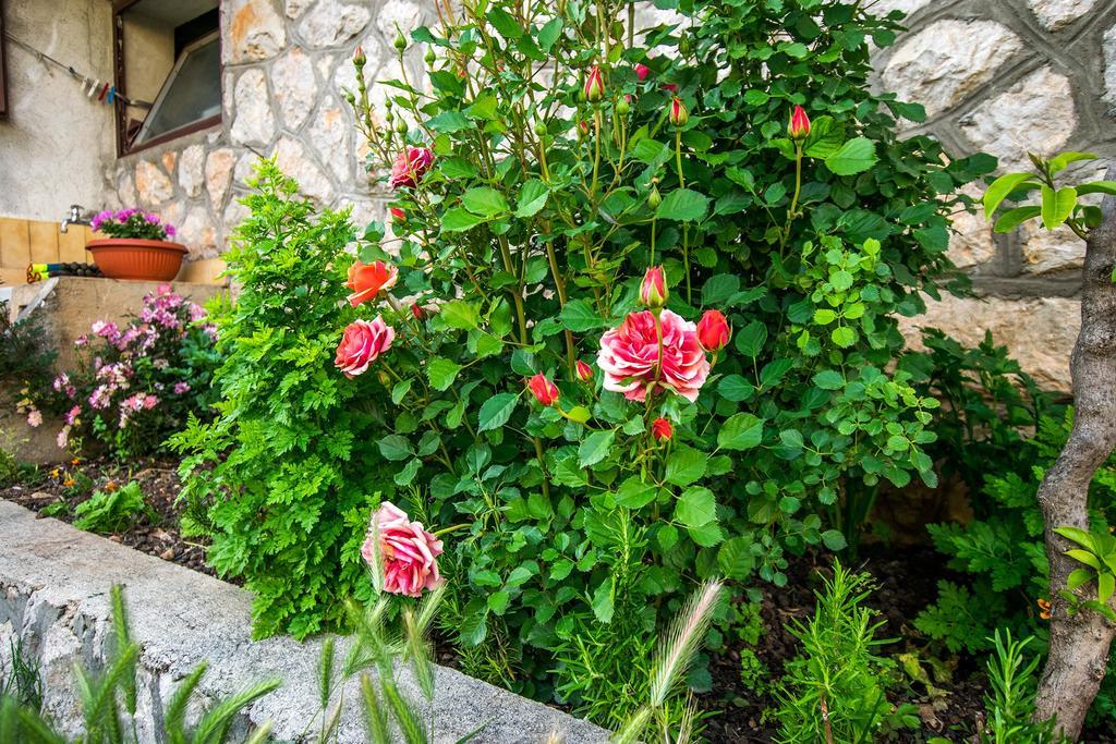 Diana Rooms And Apartments Starigrad Paklenica Εξωτερικό φωτογραφία